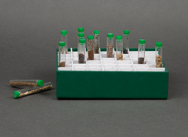 Trays for vials